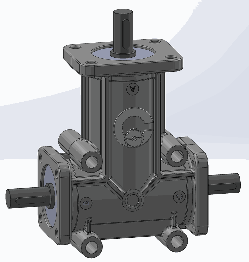 RINVIO RPC 19-08 R.1/2