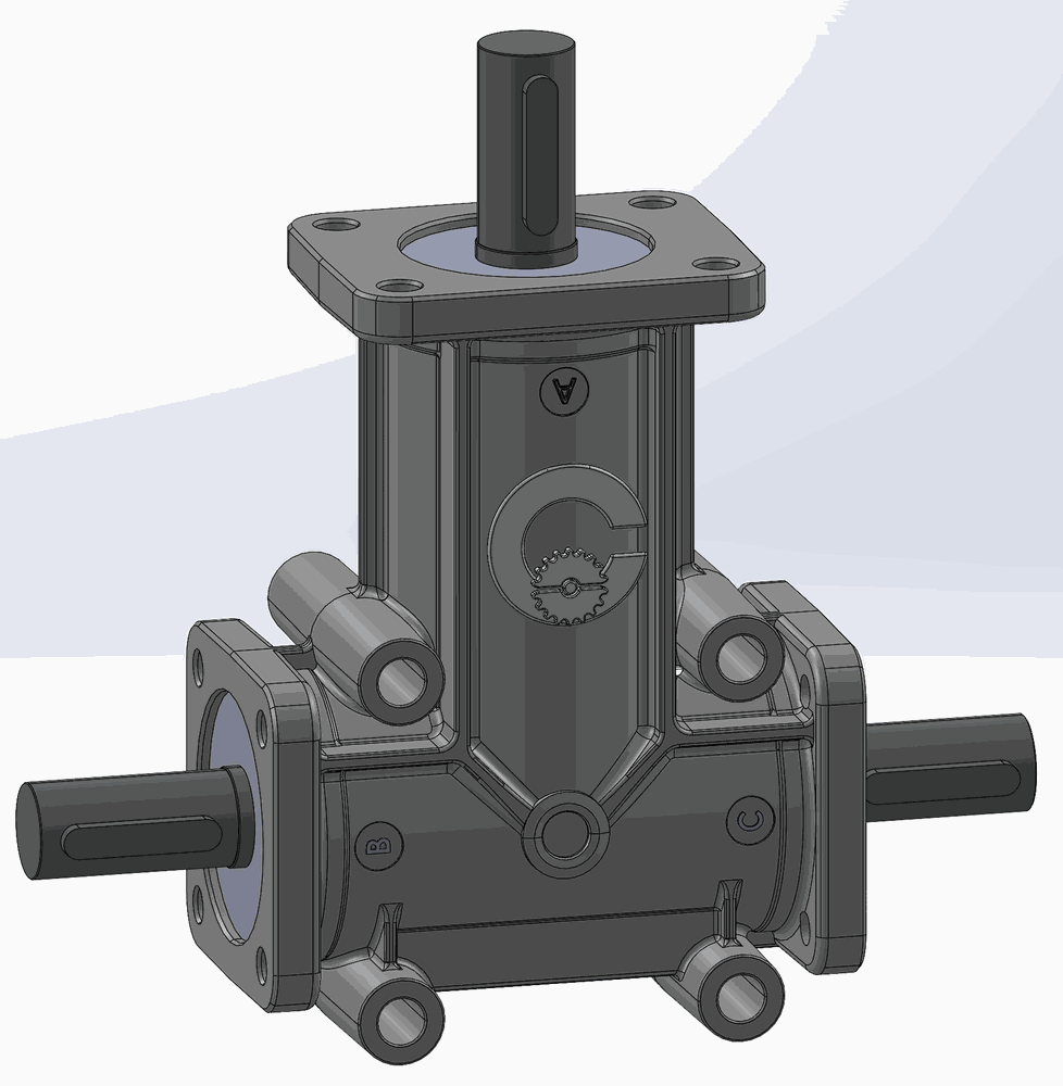 RINVIO RPC 24-08 R.1/2